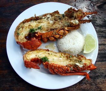 Homard, Îles des Pins, Nouvelle-Calédonie