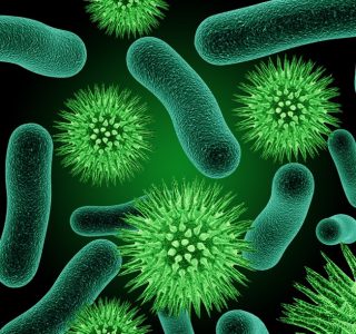 Bacteries & virus-Bron _Wikipedia