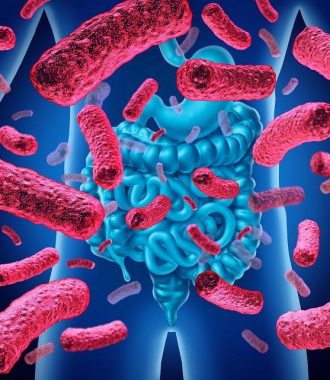 Microbiote-intestinal